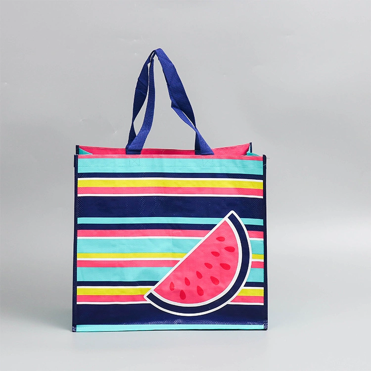 Custom Printed Plastic PP Woven Bag Raw Material with PP Webbing Handles